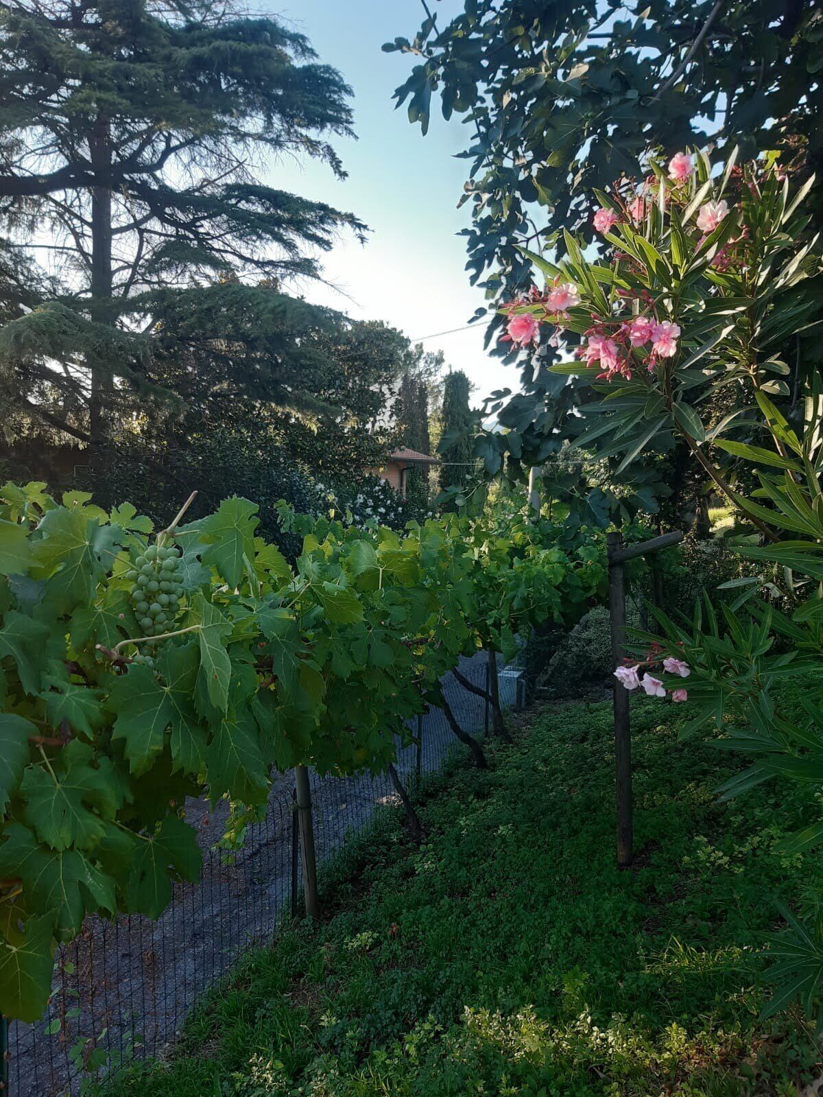 Parco della struttura