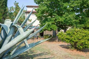 A house with a garden featuring large agave plants, a tree, and a small bush. - Country Charm in Florence (Montebeni)