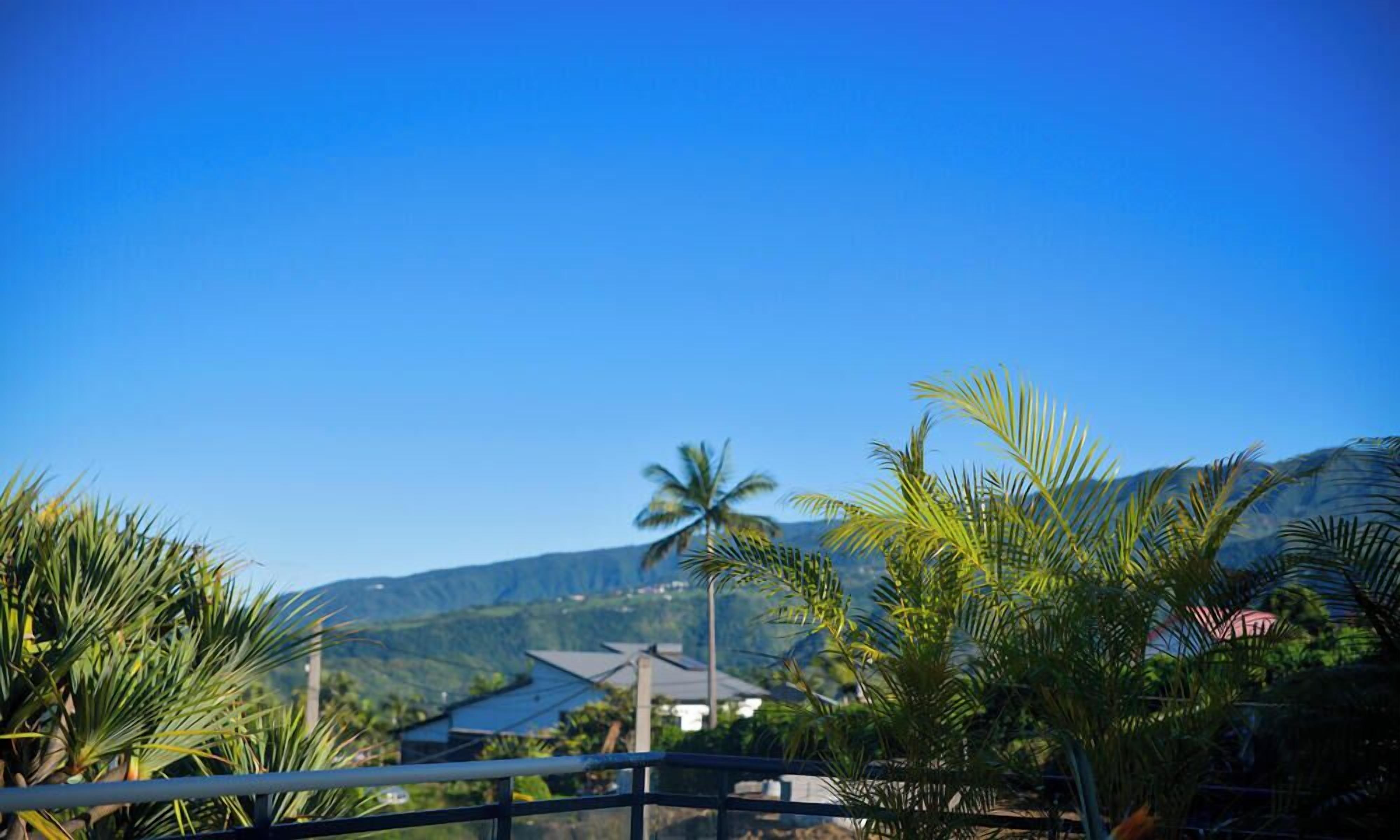 A tropical landscape with palm trees, a clear blue sky, and a mountain range in the distance.