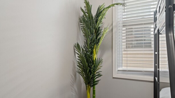 Um quarto com janela, cama e planta em vaso.