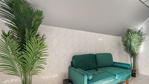 Un sofá color turquesa en una habitación con paredes de azulejos y plantas verdes grandes.