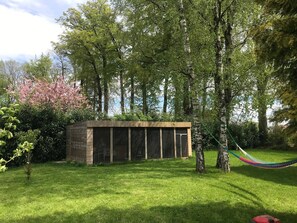 Immagine non classificata, 4 di 12, pulsante
