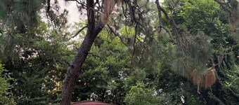 Le Pin Tordu: Near Pinehurst, Hot Tub, Fully Fenced