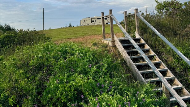 Un escalier en bois mène au sommet d’une colline herbeuse, avec un bâtiment visible au loin.