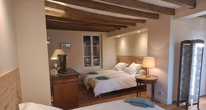 Moulin de Brives-Ch Arnage