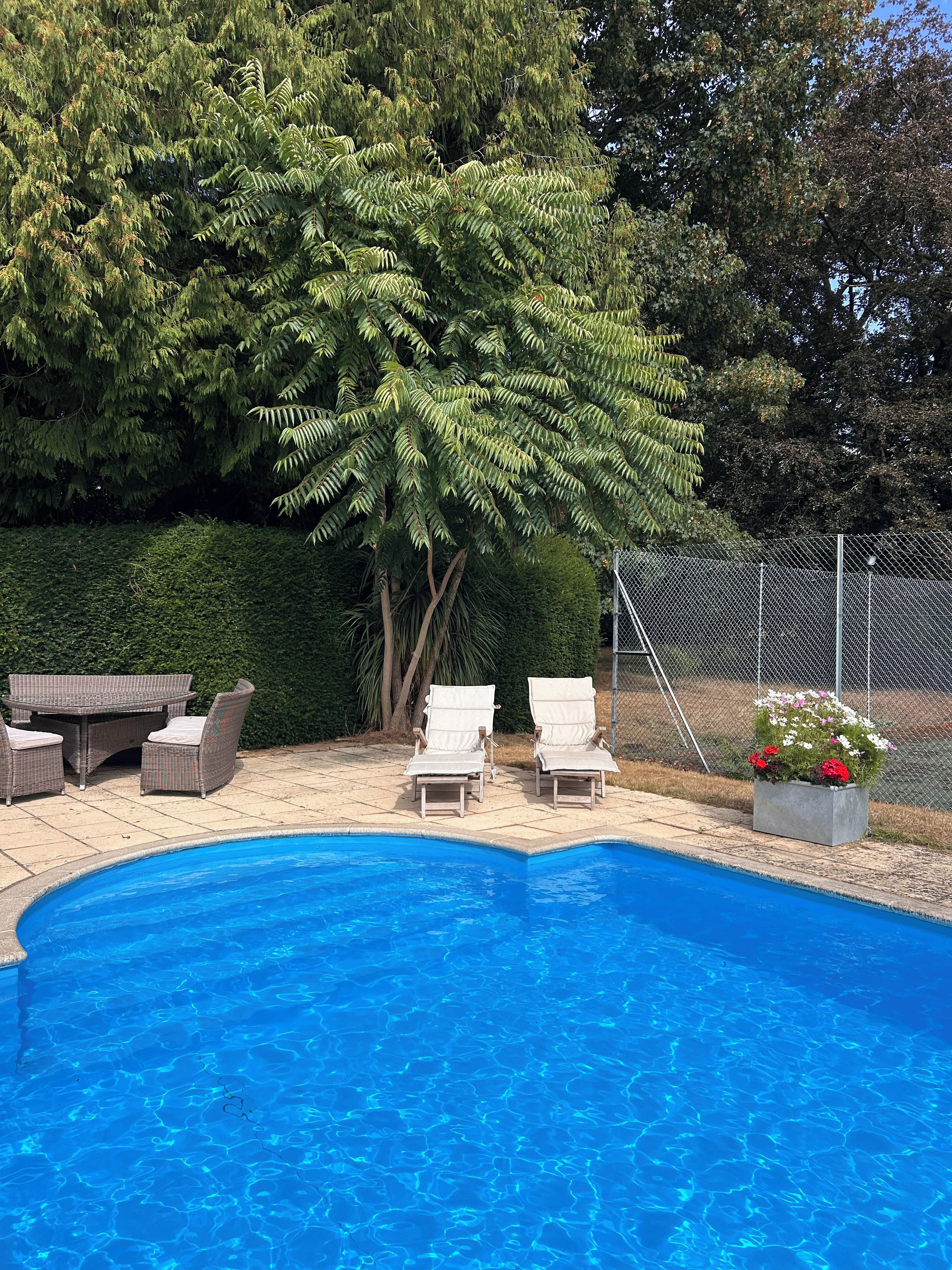 Une piscine entourée d’une haie et d’arbres, avec des chaises longues et une table à proximité.