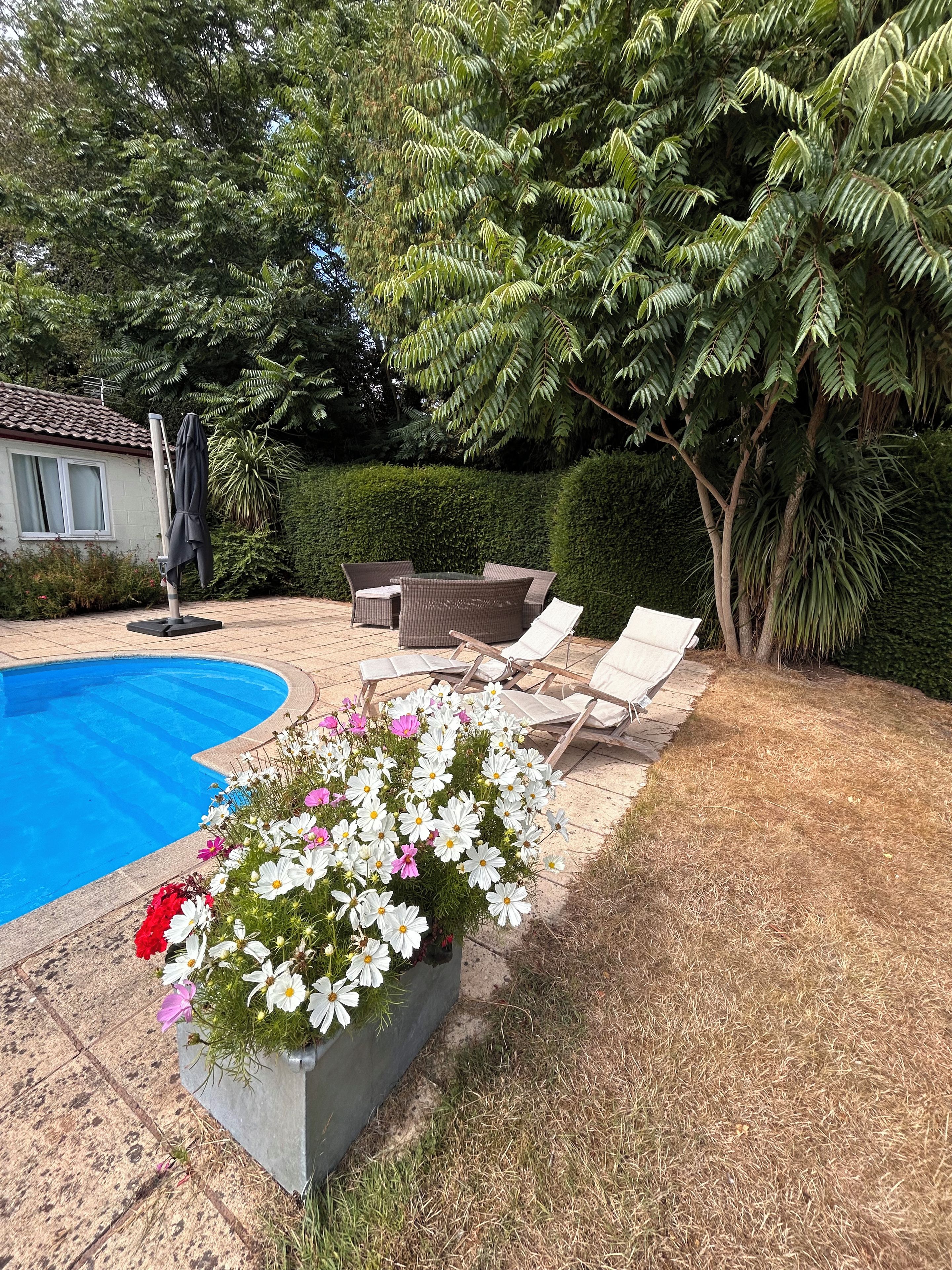 A backyard with a swimming pool, lounge chairs, and a flower bed.