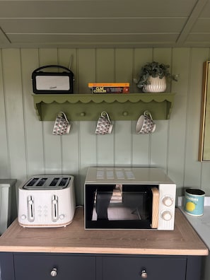 Une cuisine équipée d’un grille-pain, d’un four à micro-ondes et d’une étagère où sont posés des livres et une plante.