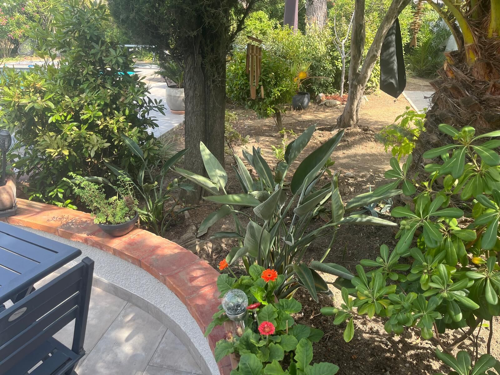 A garden with various plants and a bench.