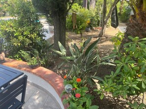 A garden with various plants and a bench. - Luxurious villa with a pool, close to the beaches and the harbor. (Saint-Cyprien)