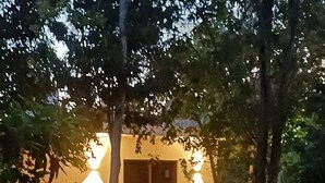 A building with a porch, surrounded by trees and plants. - Home in tranquility and peace of the jungle situated in a beautiful garden. (Cozumel)