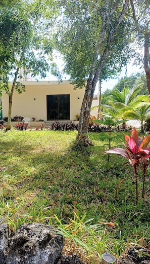 Property grounds - Cozy home in the jungle only 10 min from town and 3 km from undeveloped beach. (Cozumel)