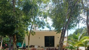 A building with a flat roof, surrounded by a well-maintained garden with various plants and trees. - Home in tranquility and peace of the jungle situated in a beautiful garden. (Cozumel)