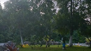 A grassy area with trees and a stone wall in the background. - Home in tranquility and peace of the jungle situated in a beautiful garden. (Cozumel)