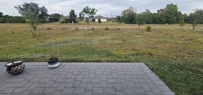 Ein gepflasterter Patio-Bereich mit einem Blumentopf und einem dekorativen Gegenstand.