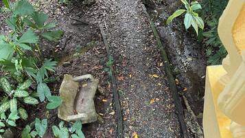 Un chemin de gravier, avec une dalle de pierre et un tuyau en métal, le tout entouré de verdure.