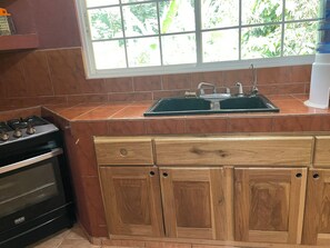 A kitchen with a stove, sink, and wooden cabinets.