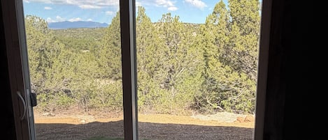 Une vue à travers une porte-fenêtre coulissante, donnant sur une cour verdoyante avec des arbres et un ciel dégagé.
