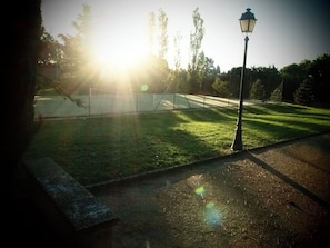 Terrain de sport