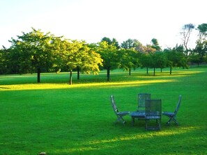 Een park met een bank en bomen.