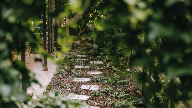 Um caminho com vegetação e pedras, que leva a uma construção com telhado.