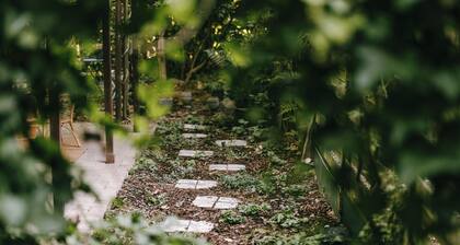 A cozy chalet nestled among the tall trees and birds. Pet-friendly! Great location!