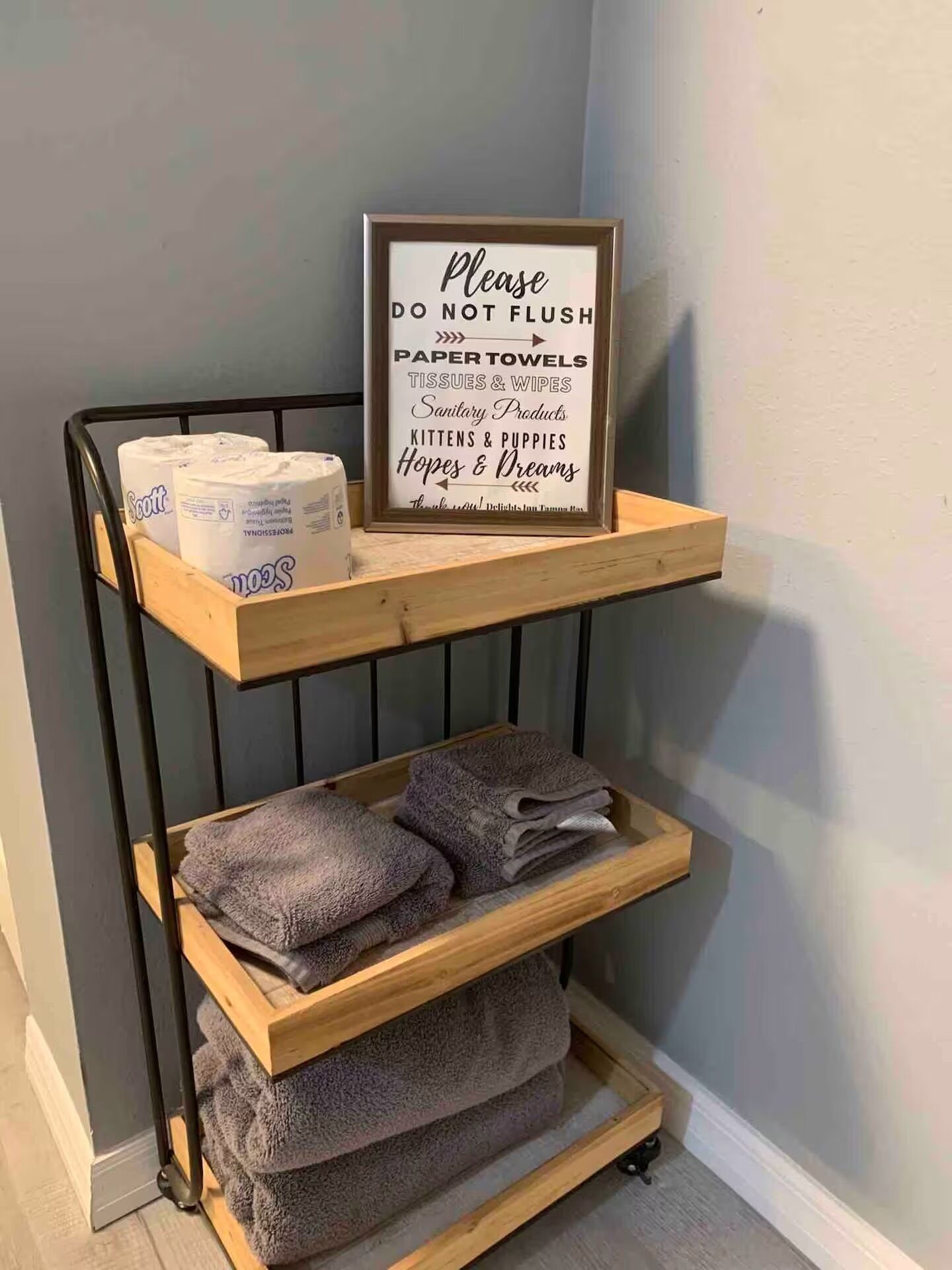 A shelf with toilet paper and a sign instructing not to flush paper towels, tissues, wipes, sanitary products, and pet supplies.