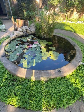 A circular pond with lily pads and a small waterfall, surrounded by a low stone border and lush green foliage. - 3762 Bertrose Furnished Quaint Retreat (Fort Worth)