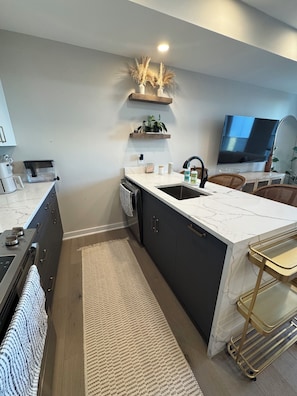 Coffee/tea maker, fridge, microwave, oven - Modern penthouse condo with private rooftop terrace with views of Natl Arboretum (Washington)