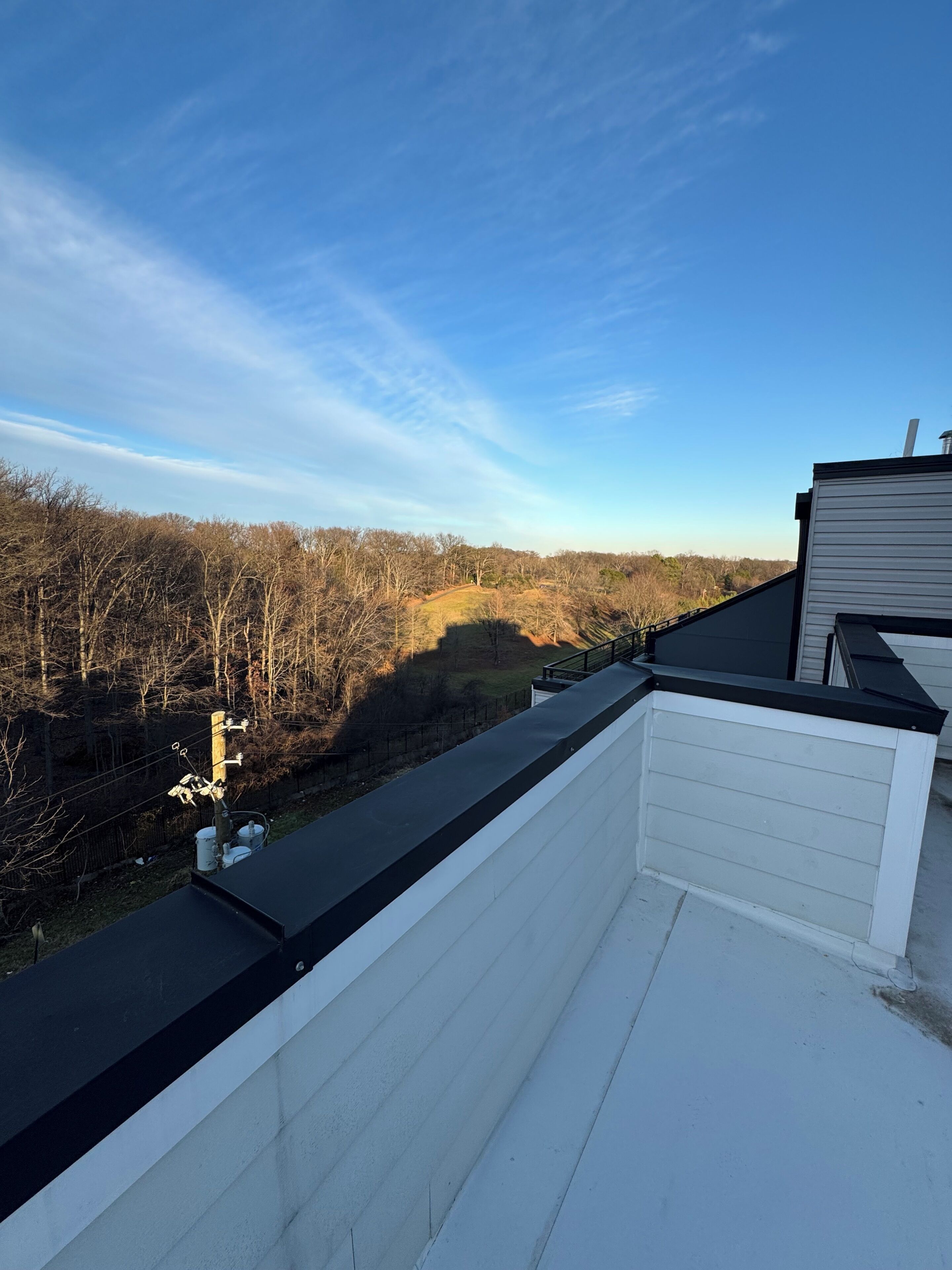 A rooftop with a view of a forested area and a clear sky.