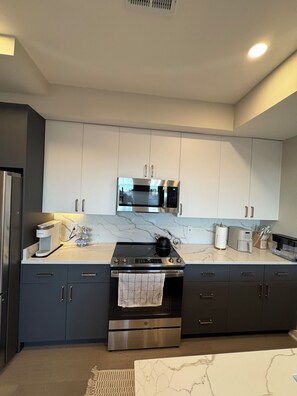 Coffee/tea maker, fridge, microwave, oven - Modern penthouse condo with private rooftop terrace, views of DC Nat’l Arboretum (Washington)