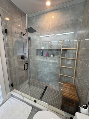 Shower, hair dryer, bidet, towels - Modern penthouse condo with private rooftop terrace with views of Natl Arboretum (Washington)