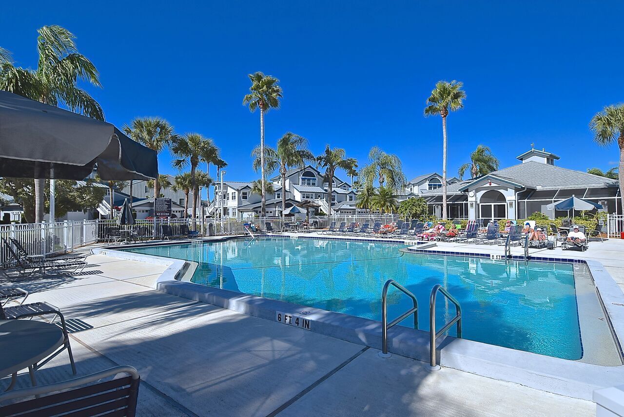 A swimming pool with lounge chairs and umbrellas, surrounded by palm trees and houses.