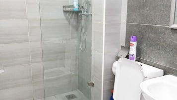 Shower, hair dryer, bidet, towels