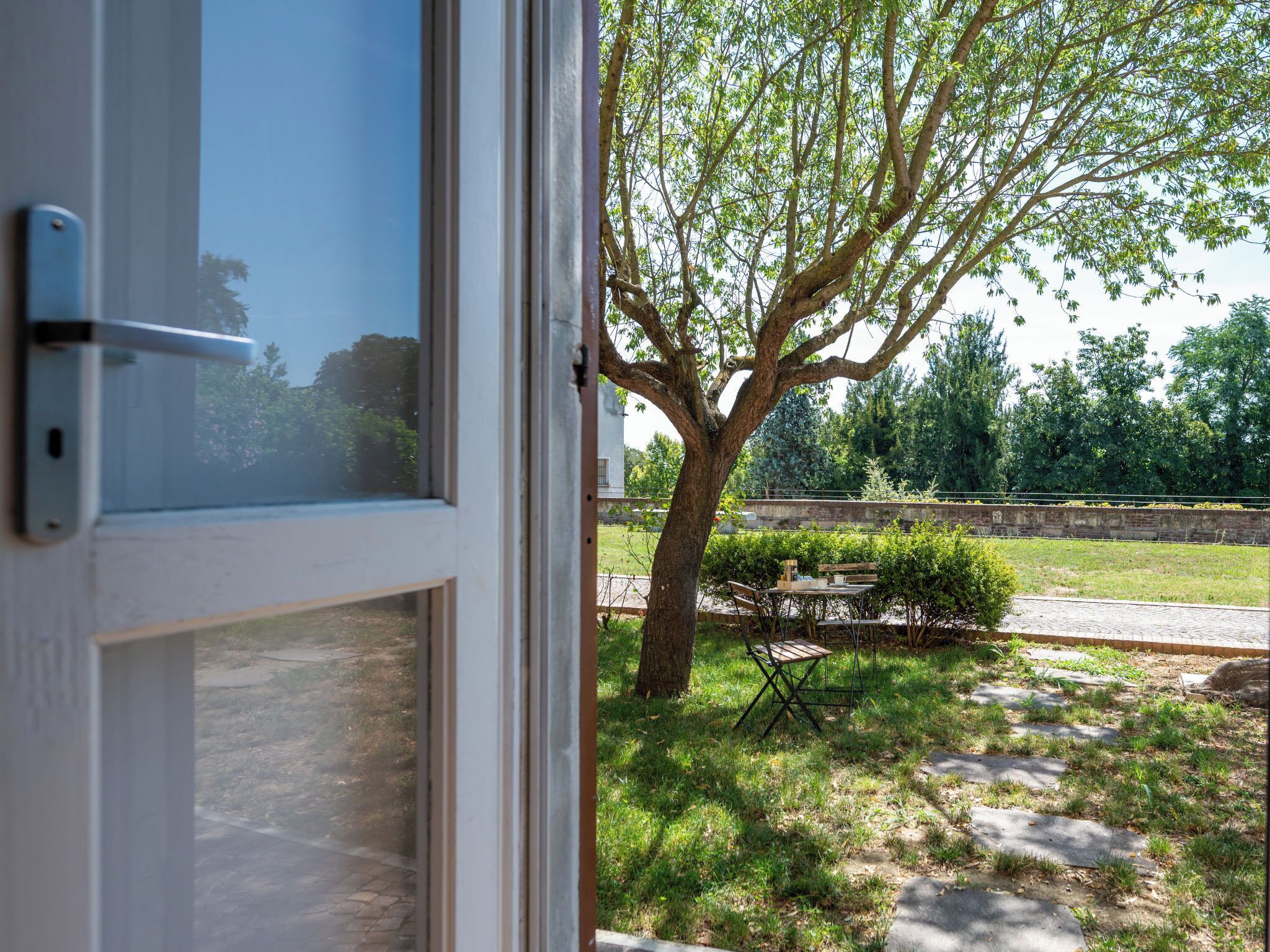 A view through a window with a tree and a paved area outside.