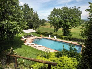 Ein rechteckiger Pool mit einer gefliesten Kante, umgeben von einer Rasenfläche mit Bäumen und einem Heckenstreifen. Liegestühle und ein Sonnensegel sind vorhanden.