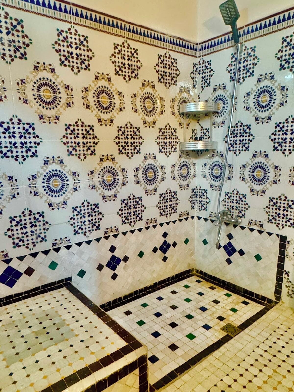 A bathroom with patterned tiles, a shower area, and a toilet.