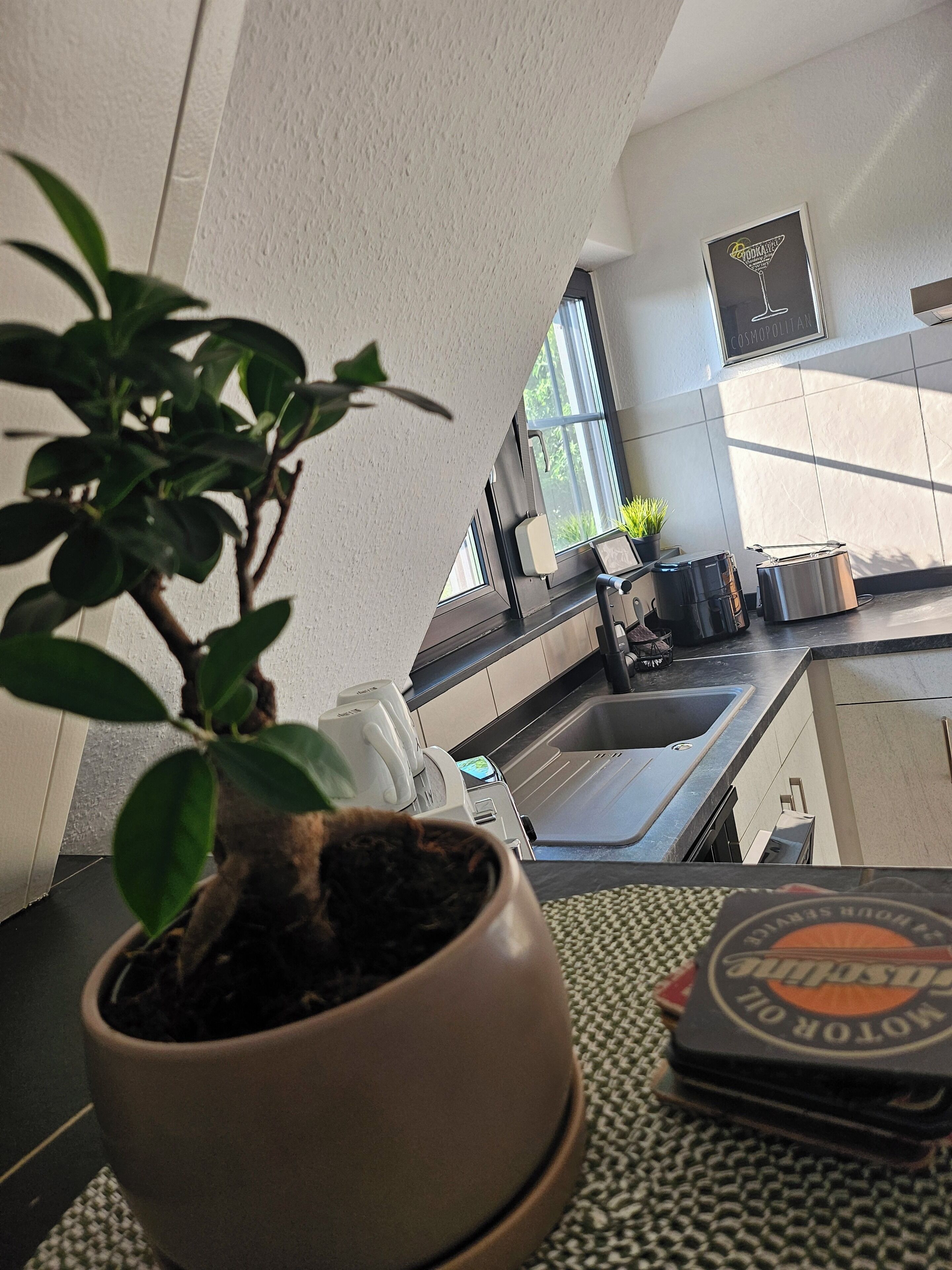 Eine Küche mit einem Blumentopf, einer Kaffeemaschine und einer Arbeitsplatte mit einer Flasche und einem Untersetzer.