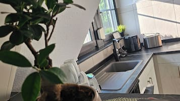 Eine Küche mit einem Blumentopf, einer Kaffeemaschine und einer Arbeitsplatte mit einer Flasche und einem Untersetzer.