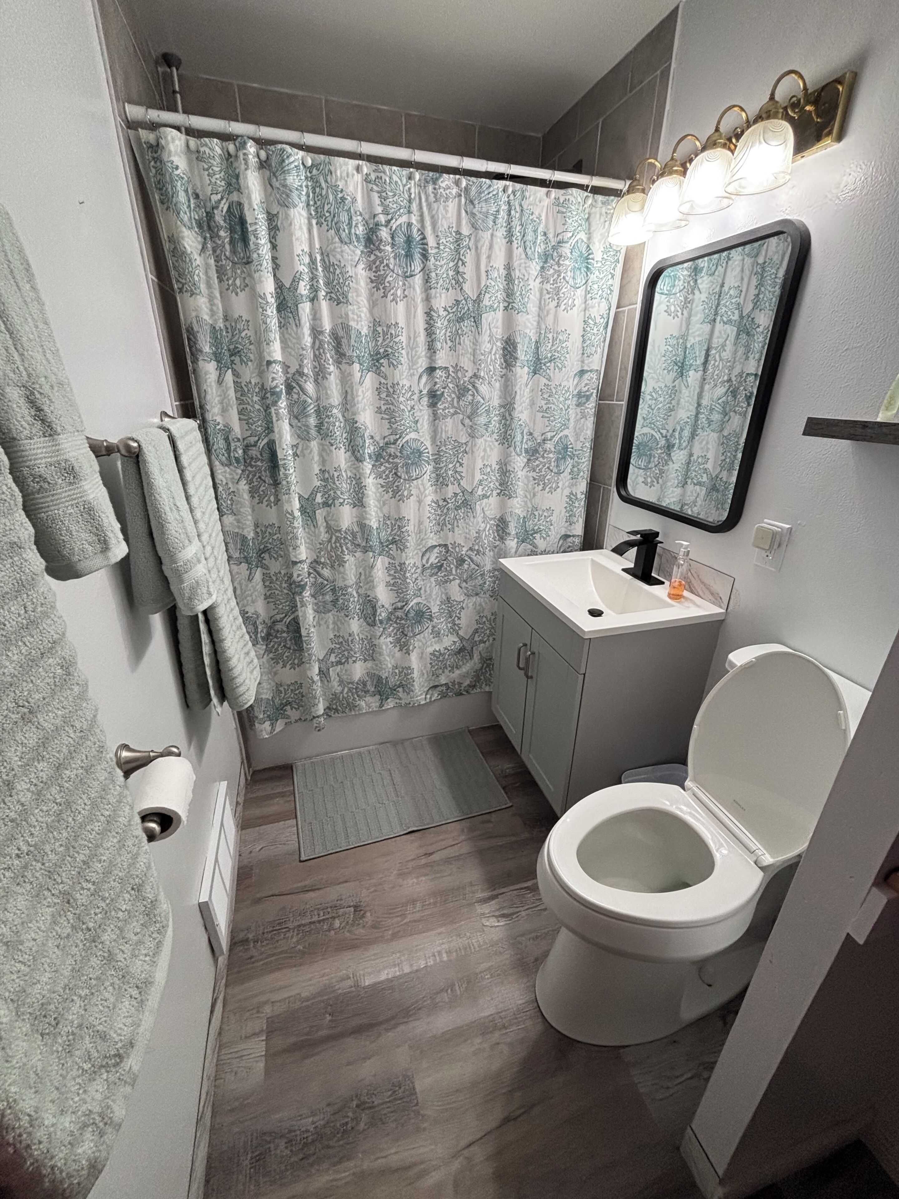 Hair dryer, towels, soap, shampoo