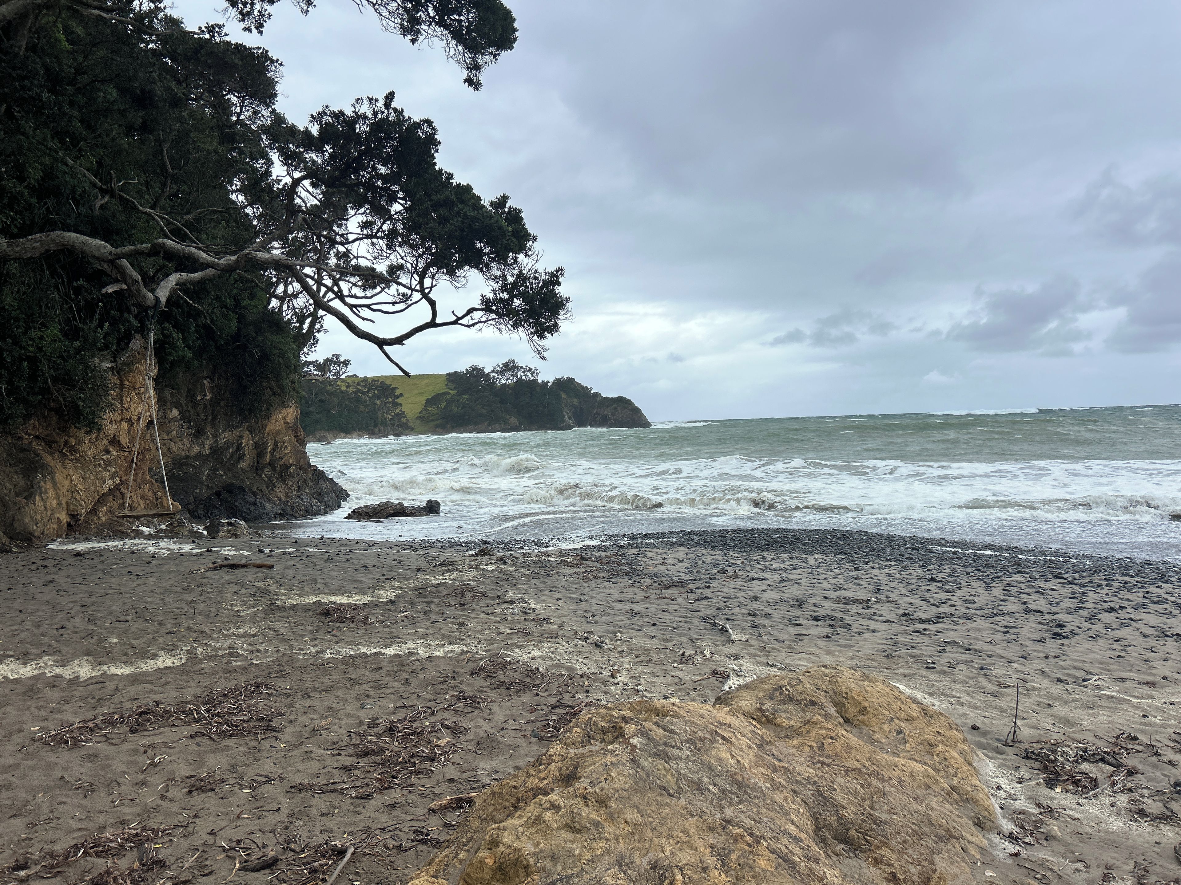 Un paisaje costero con una playa rocosa, un árbol grande y un acantilado.