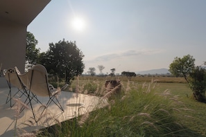 Terras