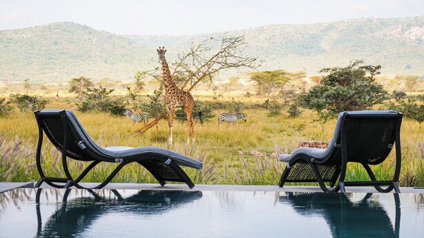 Vista sulla piscina con due sdraio e un giraffa sullo sfondo.