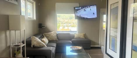 Smart TV, livros