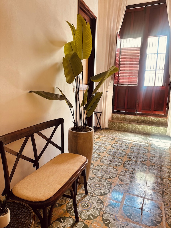A room with a bench, a potted plant, a tiled floor, and a door with a window.