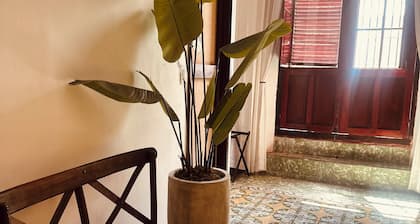 Dos Almas Casa Boutique, a majestic colonial home in the Guadalupe neighborhood