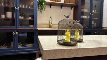 A kitchen with a countertop, cabinets, and a hanging plant.