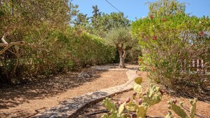 A garden path with a variety of plants and trees, including a prominent cactus in the foreground. - Villa Oleander- with Private pool & Near the beach (Chania)
