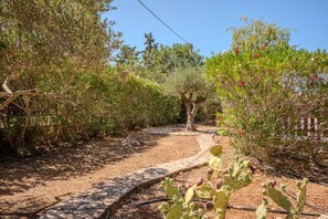A garden path with a variety of plants and trees, including a prominent cactus in the foreground. - Villa Oleander- with Private pool & Near the beach (Chania)