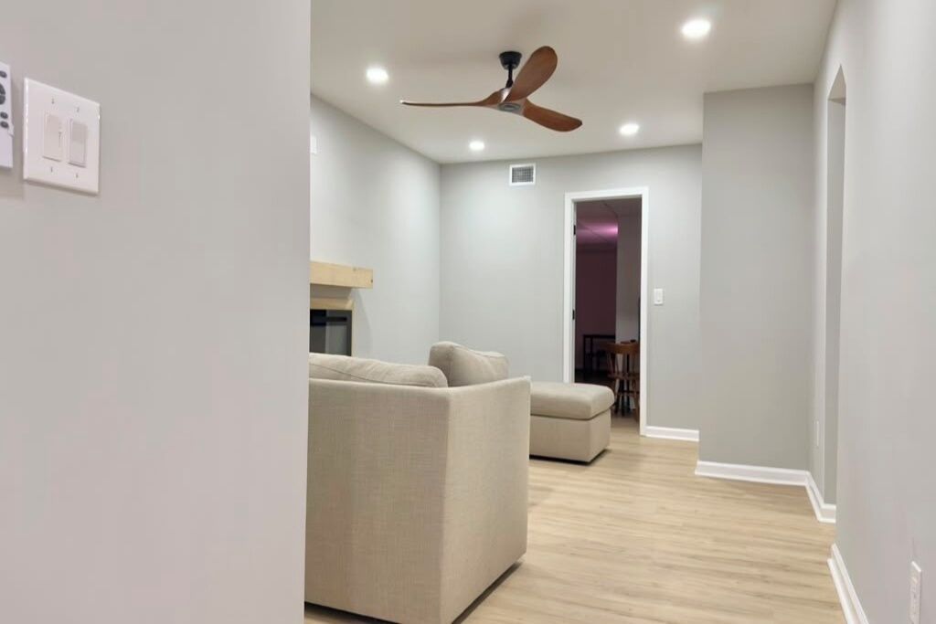 Smart TV, fireplace, video games, computer monitors